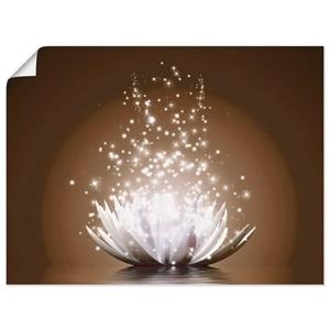 Artland Artprint Magie van de lotusbloem als artprint van aluminium, artprint op linnen, muursticker of poster in verschillende maten
