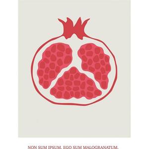 Komar Artprint Cultivated Pomegranate (1 stuk)