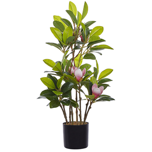 BELIANI Kunstplant MAGNOLIA