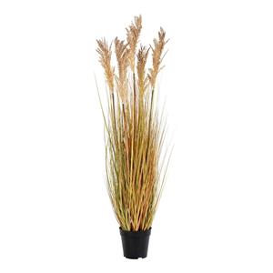 House Nordic Kunstplant Sorghum Gras | 