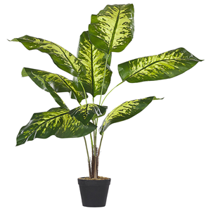 BELIANI Kunstplant DIEFFENBACHIA