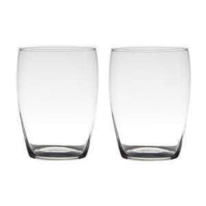 Set van 2x stuks transparante home-basics vaas/vazen van glas 20 x 14 cm -