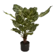 Lesli Living Zebra i/pot h45cm