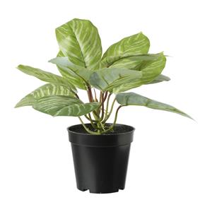 Xenos Hangplant blad - groen - ø14x30 cm