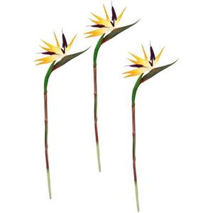 I.GE.A. Kunstbloem Künstliche Blume Strelitzie Paradiesvogelblume Exotischer Dekozweig (3 stuks)