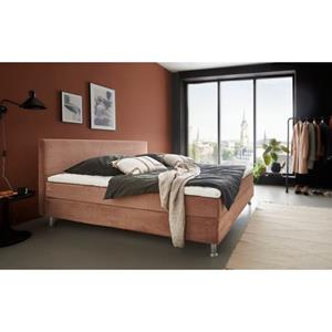 ATLANTIC home collection Boxbett "Edison", inkl. Bonnellfederkern-Matratze und Topper