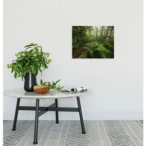 Komar Artprint op linnen Keilrahmenbild - Mystic Birch Grove - Größe 40 x 30 cm Duits kwaliteitsvliesmateriaal (155 g/m²) (1 stuk)