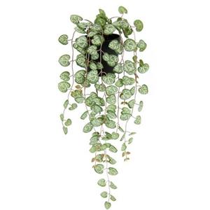 I.GE.A. Kunstplant Kunstpflanze Leuchterblume Hängende Pflanzen künstlich (1 stuk)