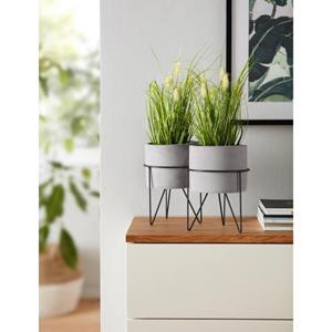 I.GE.A. Kunstplant (set, 2 stuks)