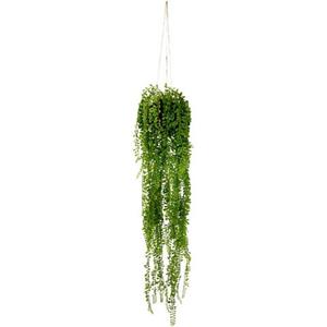 I.GE.A. Kunstplant Senecio-plantenhanger Met plantenhanger (1 stuk)