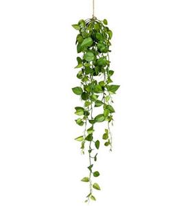Creativ green Kunstplant Hangende philodendron-mand (1 stuk)