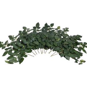 Botanic-Haus Kunsttak Beukentak (set, 12 stuks)