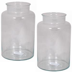 Floran Set van 2x stuks glazen melkbus vaas/vazen 11 liter smalle hals 19 x 35 cm -