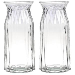 Bellatio Bloemenvaas - set van 2x - helder - transparant glas - D12 x H24 cm -