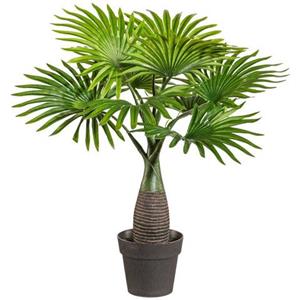 Creativ green Kunstpalm Palm mini in een plastic pot (1 stuk)