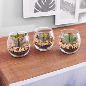 Creativ green Kunstplant Vetplanten (set, 3 stuks)