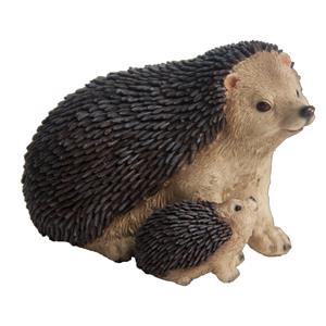 Countrylifestyle Egel met baby