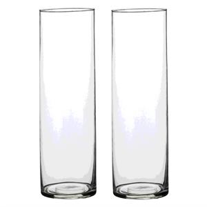 Mica Decorations 2x Glazen cilinder vaas/vazen 30 cm rond -