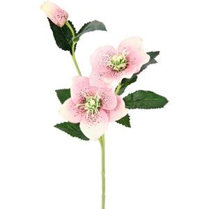 I.GE.A. Kunstbloem Kerstroos (5 stuks)