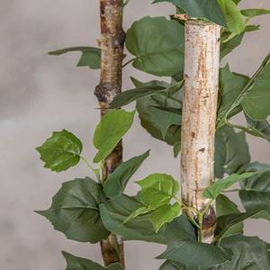 Decoratietakken Kunstplant Berk | Groen | 160cm(excl.pot)