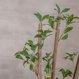 Decoratietakken Kunstplant Ficus | Groen | 120cm