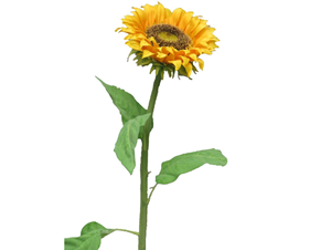 Decoratietakken Kunst zonnebloem | Geel | 80cm