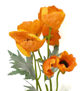 Decoratietakken Kunst Ranonkel | Oranje | 60cm