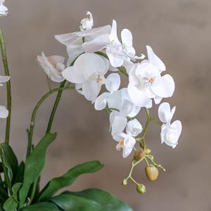 Decoratietakken Bloemstuk Kyara | 60cm