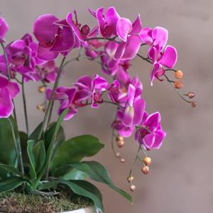 Decoratietakken Bloemstuk Romy | 60cm