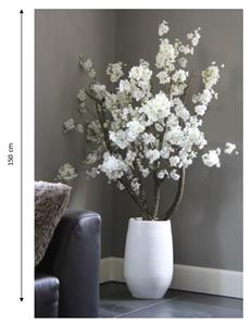 Decoratietakken Witte bloesemboom Nine zonder pot | Large | 150cm