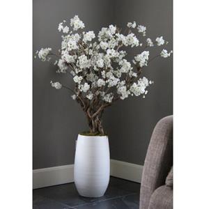 Decoratietakken Witte fruitbloesemboom Elody met pot naar keuze | 140cm