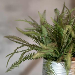 Decoratietakken Kunstplant Varen | 45cm
