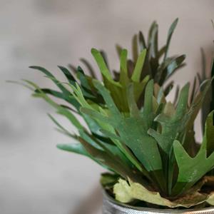 Decoratietakken Kunstplant Hertshoorn | 45cm