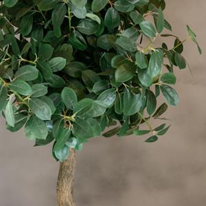 Decoratietakken Boom Palermo | 165cm(incl. pot)