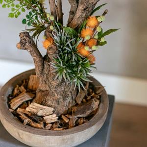 Decoratietakken Mini Mimosaboompje | 40cm