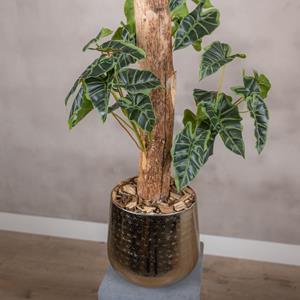 Decoratietakken Kunstplant Alocasia | Groen | 100cm