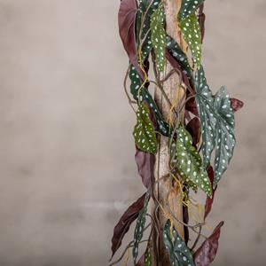 Decoratietakken Kunstplant Stipbegonia | Rood/groen | 100cm