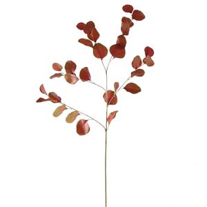 Decoratietakken Eucalyptus | Rood/Groen | 85cm