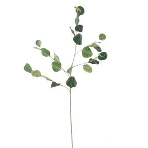 Decoratietakken Eucalyptus | Groen | 85cm