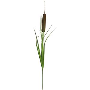 Decoratietakken Lisdodde | 85cm