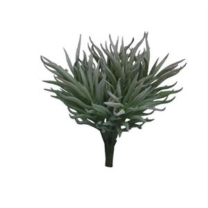 Decoratietakken Crassula - 15cm