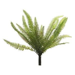 Decoratietakken Varenstruik | 40cm