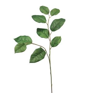 Decoratietakken Appelblad | 75cm