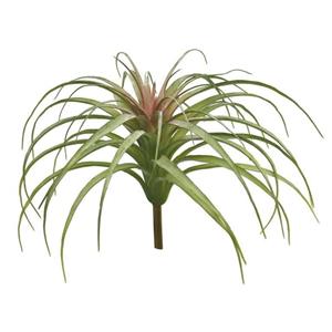 Decoratietakken Tillandsia | Groen/Rood | 25cm