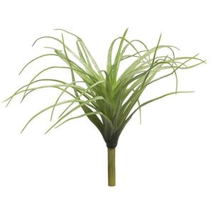 Decoratietakken Tillandsia | Groen | 25cm
