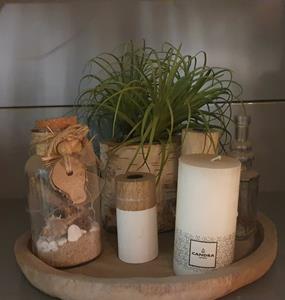 Decoratietakken Tillandsia | 35cm