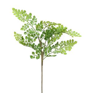 Decoratietakken Varenblad fijn | 50cm