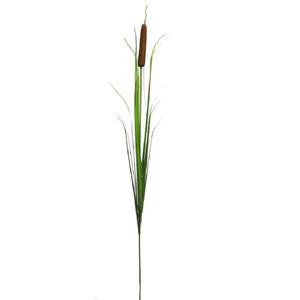 Decoratietakken Lisdodde | 165cm