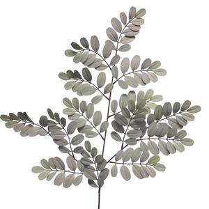 Decoratietakken Robiniatak | Grijs/Groen | 70cm