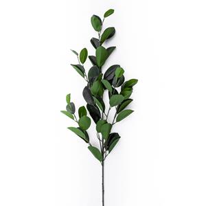 Decoratietakken Mandarijnblad | 90cm